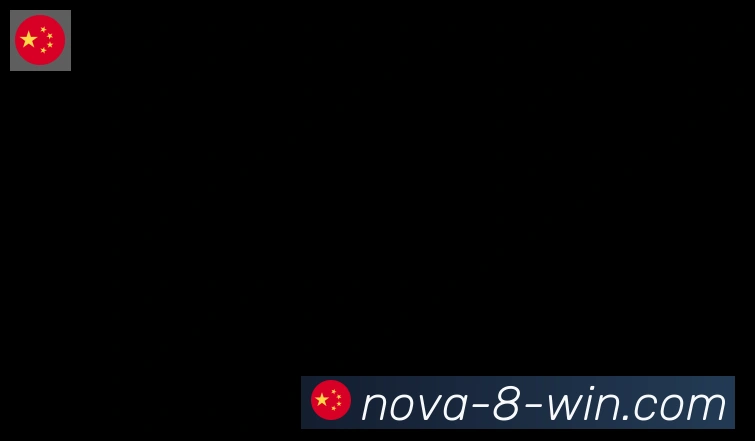 U8国际合作伙伴